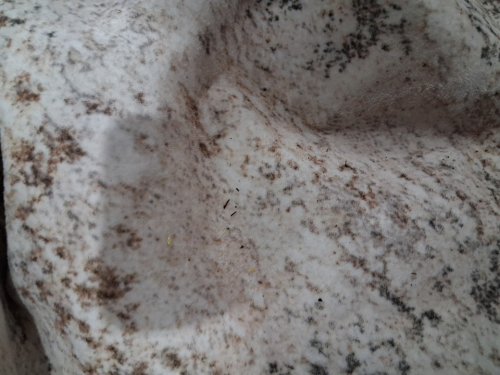 AREA RUG - 118" X 165" - BEIGE, BROWN, AND CREAM image 5