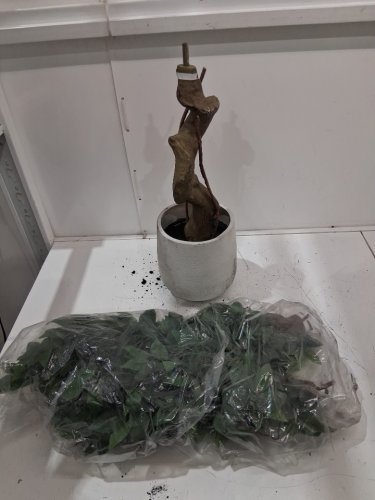 Artificial Ficus Tree with White Imitation Ceramic Planter -5ft - green (model:phk-36jhc45x) image 3