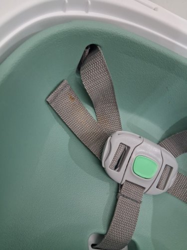 Ingenuity Baby Base 2-in-1 Booster Feeding & Floor Seat with Self-Storing Tray - 33LBS CAPACITY - MIST GREEN/WHITE (Model: ‎16728-ww) image 4