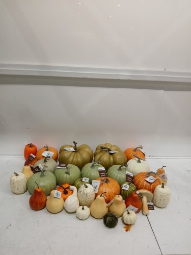 32PC ASSORTED FALL STYLE FILLER DECOR - PUMPKINS, ACORNS, PINECONES AND MORE - VARIOUS SIZES image 2