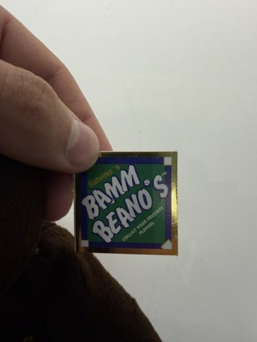SALVINO'S BAMM BEANO'S MLB PLAYERS CHOICE MARK MCGWIRE #25 HOME RUN #70-1998 9" PLUSH image 4