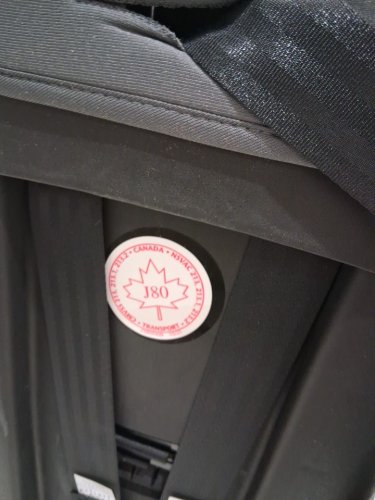 Evenflo EveryFit All4One Convertible Car Seat - grey/black (model: ‎CS300212378C) image 4
