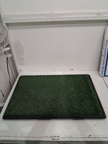 3PC Pet Potty Patch 3 Layer Toilet Tray System - 20" x 30" - green image 3