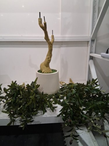 REALEAD ARTIFICIAL OLIVE TREE - 6FT - GREEN (MODEL: REJTGLSXP01-6FT) image 3