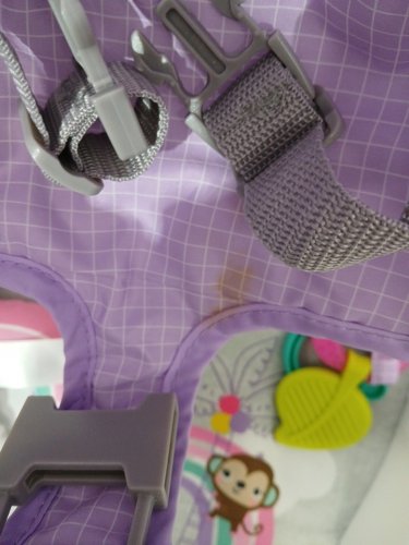 Bright Starts Learn to sit floor seat - 4-12 months - Purple Paradise (model : 13114) image 5