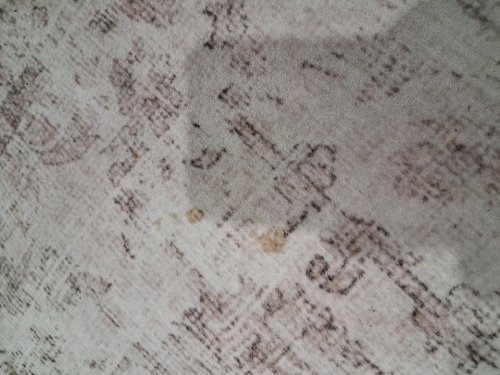 vintage style low-pile area rug - 8ftx10ft - beige (model: bw8013p1a) image 3