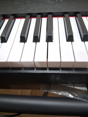 Eastar Full-Size Electric Digital Piano 88 Key Velocity-Sensitive Keyboard for Beginner with stand and pedal (model: EUP-80) image 4