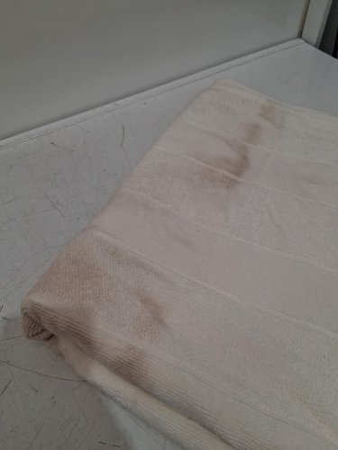 EVOLUTION 100% cotton soft absorbent bath sheets towels - 35" x 70" - off white (model: 1994181) image 3