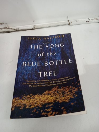 (Paperback) The Song of the Blue Bottle Tree: A Novel by India Hayford image 2