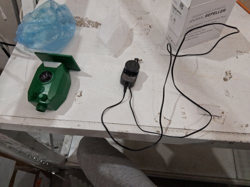 3free outdoor ultrasonic waterproof solar powered animal Repeller  - green image 3