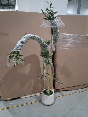 VeriNatural Artificial Olive Tree NATURAL WOOD TRUNK - 18" PLANTER X 8FT TREE - NATURAL/OLIVE image 3