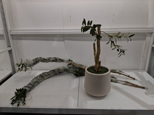 VeriNatural Artificial Olive Tree NATURAL WOOD TRUNK - 18" PLANTER X 8FT TREE - NATURAL/OLIVE image 4