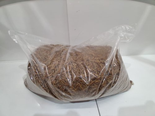 premium feeders mealworms - 11lb (5KG) image 2