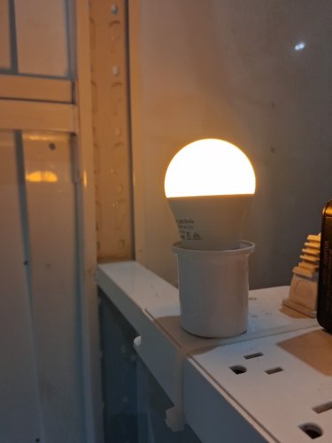 4pk E26 Sleep Light Bulbs - 1800k - warm amber image 5