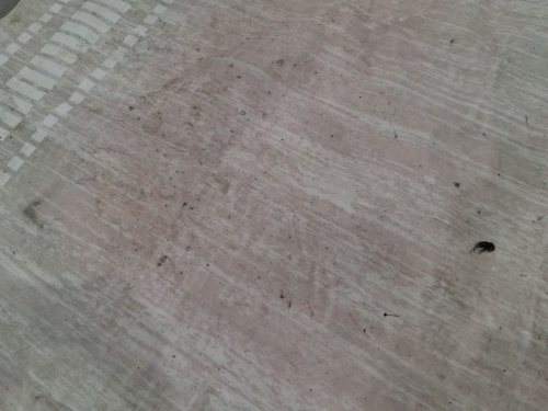 Garveehome washable scalloped edge low pile area rug - 8FT x 10FT - Beige image 3
