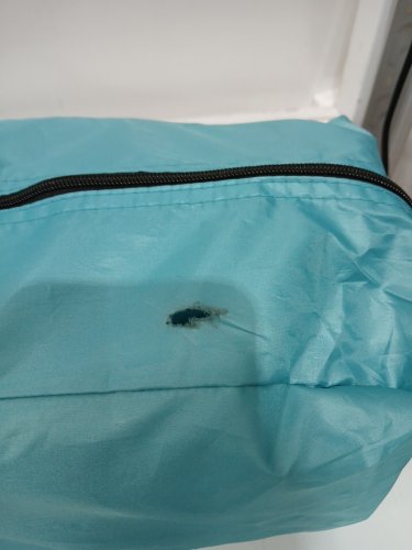 Glymnis Beach Pop Up 3 Window Tent With Travel Bag For 4 to 6 People - Blue (Model: BT-ZD03) image 7