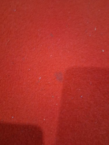 Carpet Aisle Runner with rubber bottom - 3ft x 10ft - red image 4