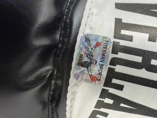 SIGNED MIKE TYSON BOXING GLOVE WITH OFFICIAL MIKE TYSON HOLOGRAM FROM FITERMAN SPORTS GROUP image 3