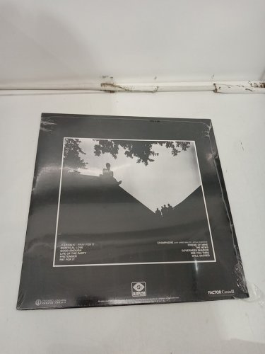 (1LP) July Talk "Pray For It" Vinyl Record image 3