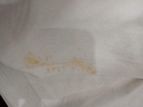 Women's kirkland signature short sleeve top - extra large- WHITE (STYLE: 1711740) image 4