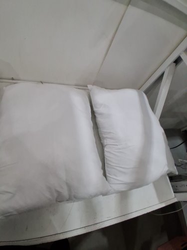 2pc standard sleeping pillows -21" x 15" - white image 3