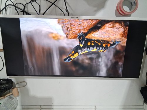 CRUA Ultrawide Gaming Monitor with Built-in Speakers - 34" - 165HZ - white (MODEL: CR340D) image 8
