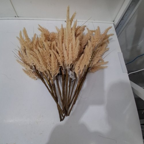 12 WAY TO CELEBRATE! DECORATIVE WHEAT STEMS - 16" - TAN (ITEM: DV6-0XRFA1116B) image 2
