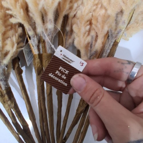 12 WAY TO CELEBRATE! DECORATIVE WHEAT STEMS - 16" - TAN (ITEM: DV6-0XRFA1116B) image 3