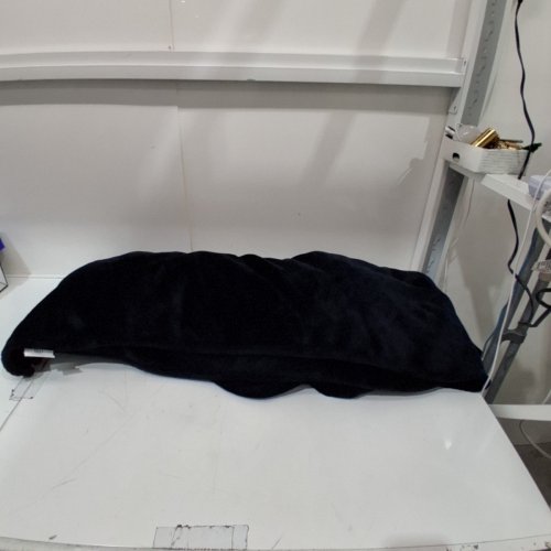 HOME TRENDS PLUSH VELVET BLANKET, QUEEN SIZE - BLACK image 2