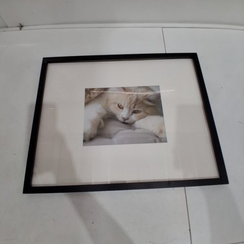 RECTANGULAR PICTURE FRAME WITH WHITE MAT AND CAT PHOTO - 21" X 17" (PHOTO OPENING: 9.5" X 7.5") - BLACK image 2