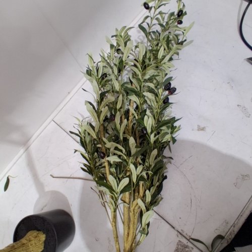 REALED ARTIFICIAL FAUX POTTED OLIVE SILK TREE WITH BRANCHES - 6FT image 4