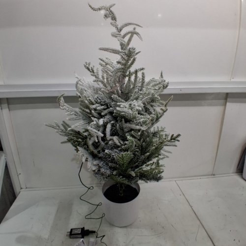 WONDERSHOP POTTED NORFOLK PINE LED PRE-LIT TREE WITH FLOCKING - 3FT - GREEN/WHITE image 2