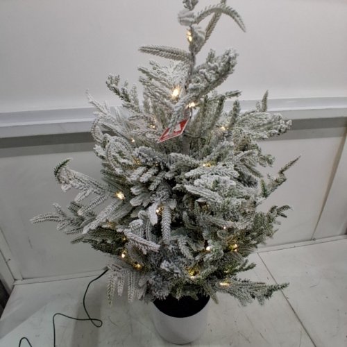 WONDERSHOP POTTED NORFOLK PINE LED PRE-LIT TREE WITH FLOCKING - 3FT - GREEN/WHITE image 3