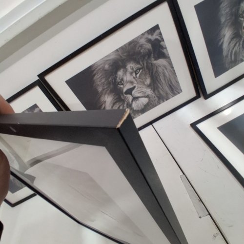 5PK FRAMED LION WALL ART PRINTS 16.5" X 20.5" - BLACK image 4