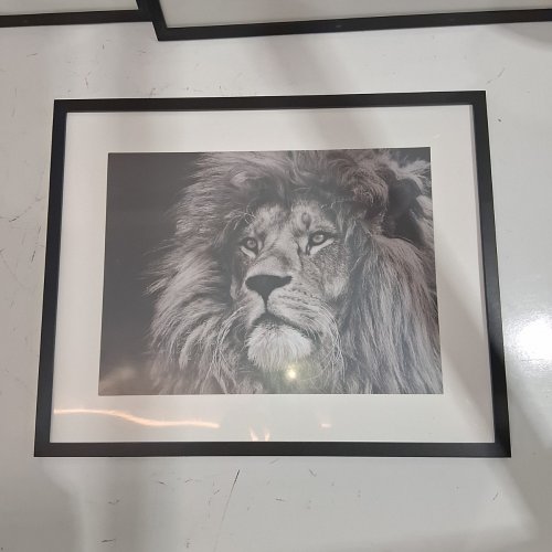 5PK FRAMED LION WALL ART PRINTS 16.5" X 20.5" - BLACK image 6