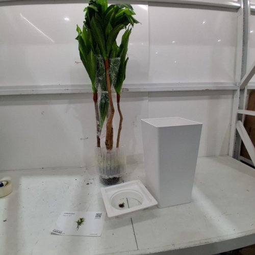 GARVEE ARTIFICIAL PLANT -5FT - GREEN (ITEM: 7ALF7) image 2
