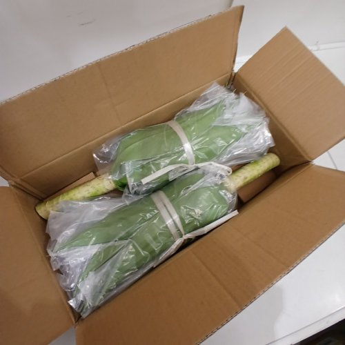 2PK TTRANEWSOO ARTIFICAL TROPICAL PLANTS, UV RESISTANT DECORATIVE FAUX PLANTS - 28" - GREEN image 3