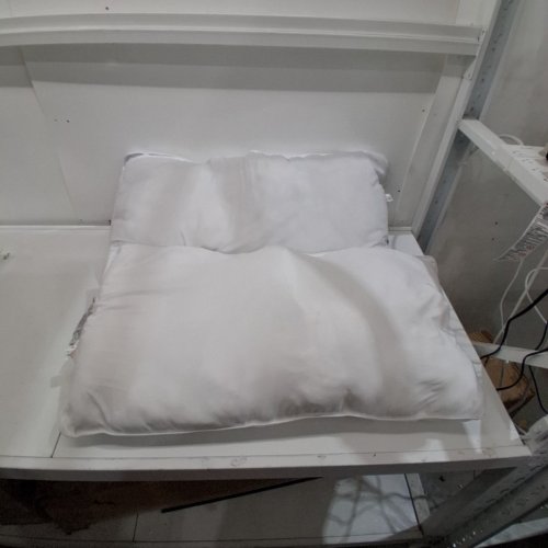2PK AMAZON BASICS PILLOW INSERTS - KING - WHITE image 2