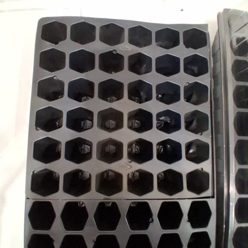 (2) MCKENZIE PRO-HEX PLANT STARTING TRAYS WITH DOMES - 72 CELL EACH - BLACK (ITEM: BC390507) image 4