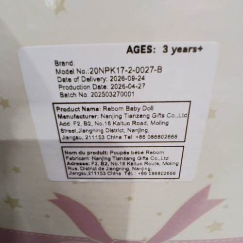 REBORN BABY BOY VINYL DOLL TOY SET WITH SUITS / PACIFIER / DIAPER & BIRTH CERTIFICATE - 20" (MODEL: 20NPK17-2-0027-B) image 2