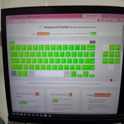 HP 230 WIRELESS KEYBOARD AND MOUSE image 2