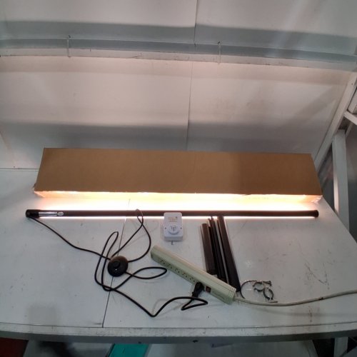 BARRINA T10 VERTICAL TABLE TOP LED GROW LIGHT - 4FT - 42W- BLACK (MODEL: P10L42) image 2