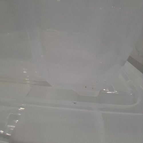 4PK IRIS STACK & PULL BOXES - 53QT- CLEAR (MODEL: TB-56D) image 4