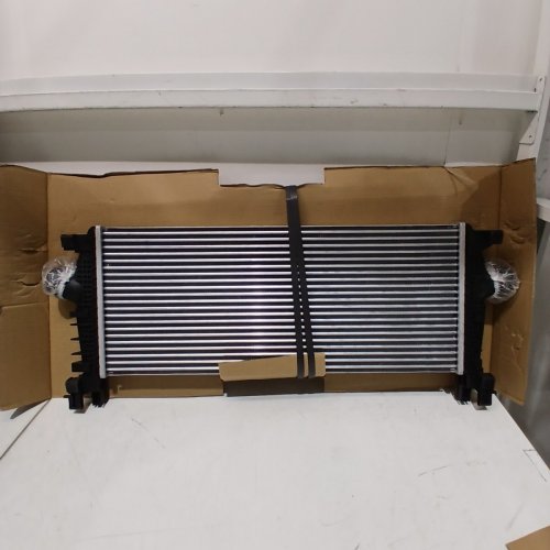 DELANG INTERCOOLER - FITS VARIOUS VEHICLES (ITEM: 113311080/E058) image 3