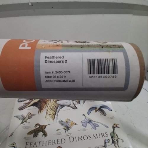 EUROGRAPHICS FEATHERED DINOSAURS 2 POSTER - 36" X 24" - MULTICOLOR (ITEM: 2450-0074) image 2