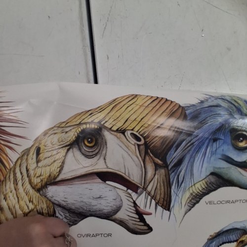 EUROGRAPHICS FEATHERED DINOSAURS 2 POSTER - 36" X 24" - MULTICOLOR (ITEM: 2450-0074) image 3
