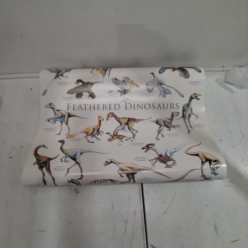 EUROGRAPHICS FEATHERED DINOSAURS 2 POSTER - 36" X 24" - MULTICOLOR (ITEM: 2450-0074) image 4