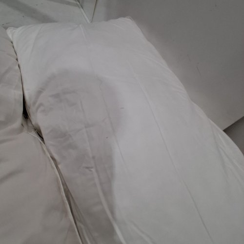 ROOTS HOME PREMIUM LUXURY PILLOW - 300 THREAD COUNT - KING - WHITE (MODEL: 8007504) image 4