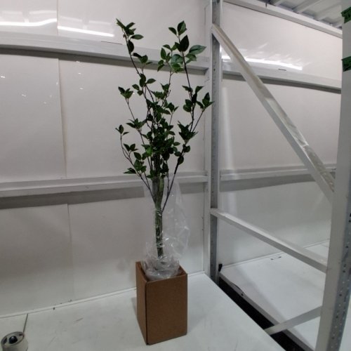 NEARLY NATURAL ARTIFICIAL MINIMALIST CITRUS TREE - 4FT - GREEN (MODEL: T4541-MB) image 2