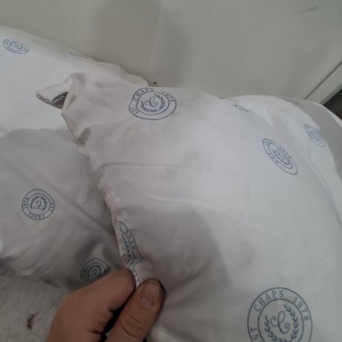 2PK CHAPS STANDARD PILLOWS - WHITE image 4